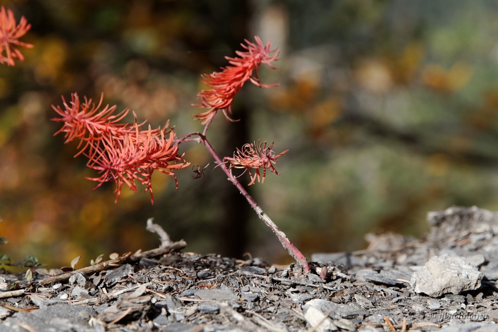 20101009_204
